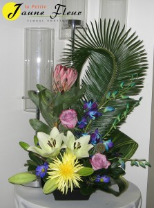 Tropical-Protea Delight