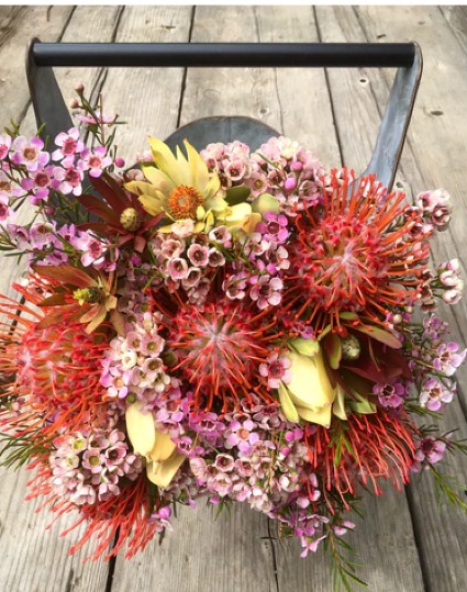 Pincushion Protea Arrangement