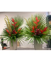 Tropical Receptions Arrangements  