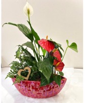 Tropical Red Boat Planter