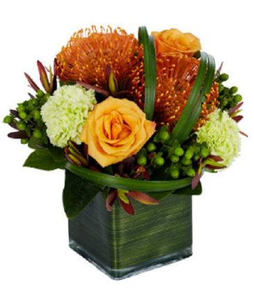Tropical Sophistication  With Exotic Flavor, A Compact and Excellent Gift! in Gainesville, FL | PRANGE'S FLORIST