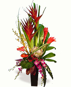 Tropical Splendor Arrangement by Enchanted Florist of Cape Coral in ...