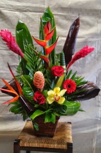 Tropical Sunset Exotic Flowers