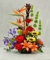 TROPICAL SUNSHINE Floral Arrangement