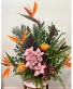 Tropical Symphony By Enchanted Florist of Cape Coral 