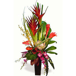 Tropical Treasure 