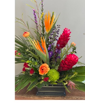 Tropical Treat Unique Design