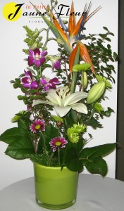 Tropical-Triumph SOLD OUT!