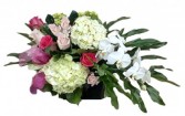 Tropical Twist cut flowers