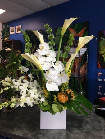 Tropical White