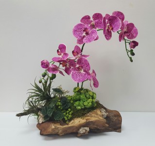 Tropical Wood Residential And Commercia