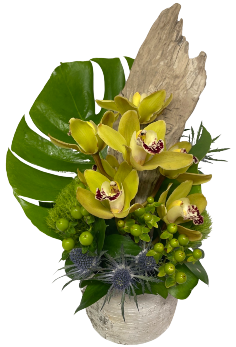 Category Image