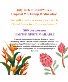 Tropical Workshop Wednesday 
