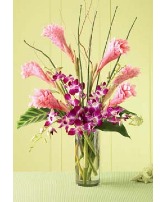 Tropicala Arrangement