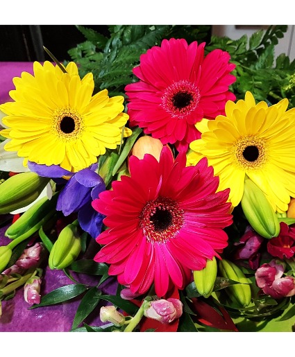 SMILING DAISIES BOUQUET 12 STEMS OF GORGIOUS BLOOMS