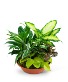 Purchase this funeral home arrangement