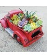 Truck full of Succulents  Succulents