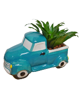 Truck Planter Plant