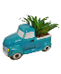 Truck Planter Plant