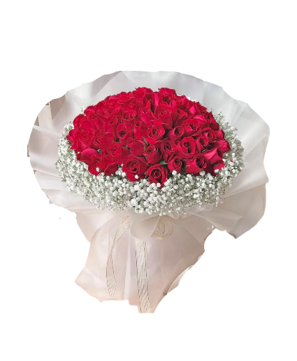 True Beauty Red Roses WRAPPED BOUQUE 