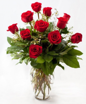True Romance 1 Dozen Roses in Highmore, SD | Amber Waves Floral & Gifts True Romance 1 Dozen Roses in Highmore, SD | Amber Waves Floral & Gifts