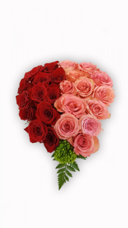 True Love in Margate, FL | FLOWERS BY PROMOIDEA True Love in Margate, FL | FLOWERS BY PROMOIDEA