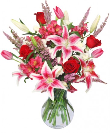 TRUE LOVE BLOOMS Floral Arrangement in Enfield, NH | SAFFLOWERS