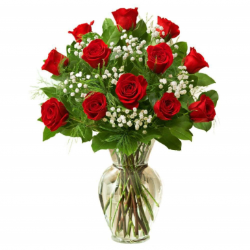 True Love Red Roses  in Fredericton, NB | GROWER DIRECT FLOWERS LTD