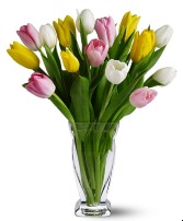 True Love Tulips For A Limited Time - Special Offering