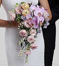 TRUE LOVE WEDDING