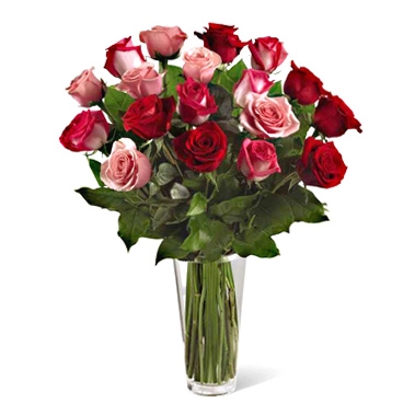 True Romance 18-Pink and Red Roses