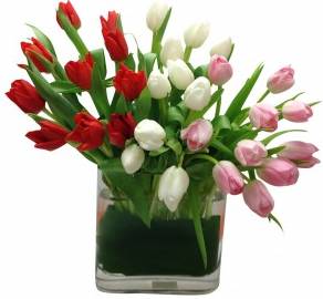 Treasured Tulips Arrangement