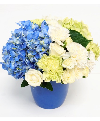 Blue Tenderness Flowers