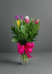 Tulip Bloom  Vase Arrangement