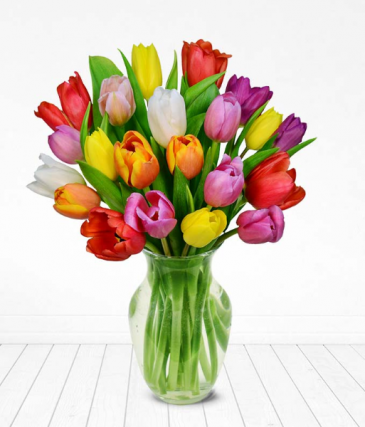 Tulip bouquet