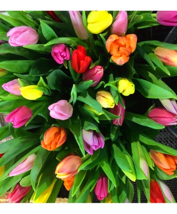 Tulip Bouquet  in Northfield, VT | Trombly's Flowers and Gifts