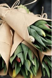 Tulip Bouquet Hand tied