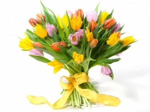 Tulip Bouquet Tulips grown on PEI