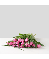 Tulips Bouquet - Pinks  in Surrey, British Columbia | Hunters Garden Centre And Flower Shop