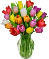 TULIP BOUQUET Vase Arrangement