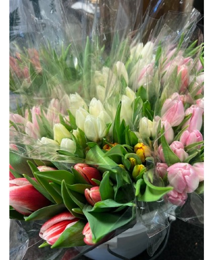 Tulip Bunches 20 or 30 stems!