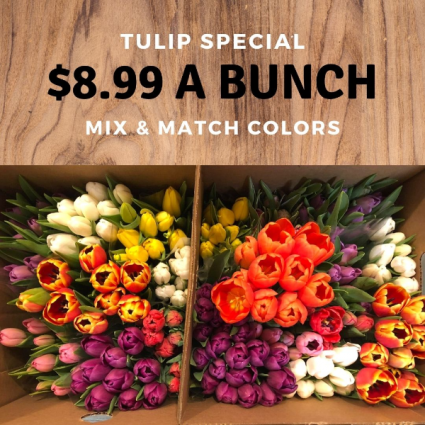 Tulip Bunch Special *Pick-Up Only*