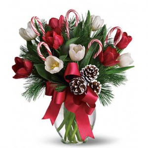 Tulip Candy cane vase Arrangement