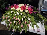 Tulip Fields Casket Spray