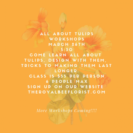 Tulip Class March 26th
