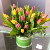 Tulip Delight  Arrangement 