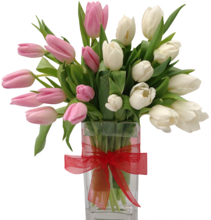 Tulip Duet Vase Arrangement
