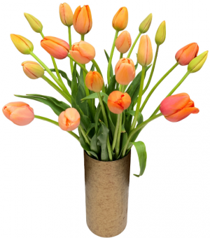 Tulip Duo Vase Arrangement