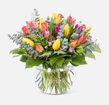 TULIP GARDEN in Williamsburg, VA | Blessing and Blooms Florist TULIP GARDEN in Williamsburg, VA | Blessing and Blooms Florist