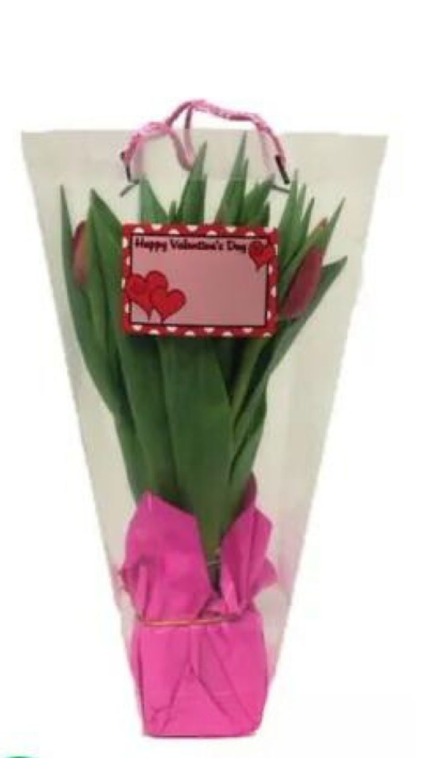 Tulip Gift Bag 